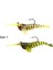 Magic Shrimp 2li Set 3D Silikon Karides 50MM 3.7gr Suni Yem 2