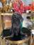 Dekorarif Köpek Heykeli Biblo 3