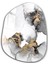 Marble With Golden Dust Amorphous Collection Glass Wall Art 1