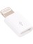 Mikro USB Dişi 8 Pin Erkek Mini Adaptör (Yurt Dışından) 1