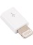 Mikro USB Dişi 8 Pin Erkek Mini Adaptör (Yurt Dışından) 2