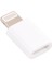 Mikro USB Dişi 8 Pin Erkek Mini Adaptör (Yurt Dışından) 3
