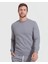 Erkek Gri Bisiklet Yaka Kapşonsuz Reguler Fit Sweatshirt 1