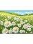 Papatya Bahcesi Duvar Örtüsü Duvar Halısı Wall Tapestry 1