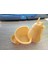 Totoro Kendi Kendini Sulayan Saksı T3229973 lı 1