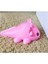 Bebek Aksolotl, Axolotl Pembe 6413210 lı 2