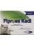 Fiproess Kedi 0.5 ml x 3 Pipet 1