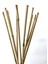 - Gerçek Bambu Destek Çubuğu (10 Adet / 150 Cm.) 5