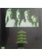 Type O Negative - Dead Again Plak 2