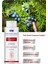 Ardıç Katranlı Saç ve Vücut Şampuan 250 ml 2