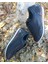 Bagsshoes PRX18029 Erkek Deri Smart Casual Lacivert Günlük Ayakkabı 2
