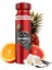 Wolfthorn Erkekler Için Sprey Vücut Deodorantı 150 ml 3