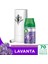 Air Wick Freshmatic Otomatik Sprey & Lavanta Yedek Sprey Oda Kokusu Kiti 2