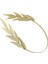 Altın Bandı Headdress Saç Aksesuarları Kostüm Için Hediye Çember Malzemeleri (Yurt Dışından) 1