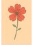 Matisse - Boho - Art Deco - Soyut - Doğa ( 3 Lü Çerçevesiz ) Poster - Afiş - Tablo KR2C01045/ 3