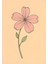 Matisse - Boho - Art Deco - Soyut - Doğa ( 3 Lü Çerçevesiz ) Poster - Afiş - Tablo KR2C01045/ 4