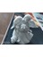 Çiçek Tutan Melek T2934593 1
