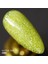 Glitter Kalıcı Oje G006, Lime Yeşili Holografik Simli, 4 ml 4