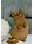 Kedi Peluş Yastık 5