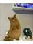 Kedi Peluş Yastık 6