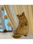 Kedi Peluş Yastık 7
