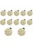 12PCS G4 Puck Işıkları LED Ampuller Yan Pin Tabanı Yuvarlak G4 5050 12SMD LED Rv Camper Işık Ev Okuma Işığı, Sıcak Beyaz (Yurt Dışından) 1
