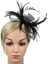 Kadın Tüy Fascinator Saç Bandı Parti Başlığı Şapkalar (Yurt Dışından) 2