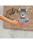 Positive Vibes Cat Kapı Önü Paspası 5