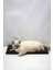 Kedi Tırmalama Kartonu (60X24 Cm) - Mdf Kenar 1