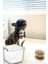 2 Adet 8 Litre 3'lü Kürek Kedi Köpek Kuru Mama Kum Saklama Kabı Kutusu Seti 2