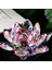 Bir Stil Kristal Lotus Cam Şekil Kağıt Ağırlığı Süsleme Feng Shui Dekor Koleksiyonu Eski Ev Dekor Aksesuarları El Sanatları Heykelcik ler (Yurt Dışından) 5
