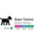 Köpek Boyun Tasması Space M 1