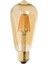 Rustik LED Ampul Dimmerli CT-4313 1