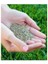 Çim Tohumu Ithal 6li Karışım Starex Grass Seed 6-M Mix 1 kg Dayanıklı Tamir Çimi 2