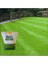6 Farklı Çim Tohumu Karışımı(Galaxy) Grassmixture (10 Kg) 2