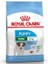 Mini Puppy 4 kg 1