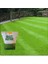 6 Farklı Çim Tohumu Karışımı(Galaxy) Grassmixture (5 Kg) 2