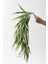 Yapay Sarmaşık Sazlık Yeşil Krem 90 cm 5 Dal 1