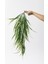 Yapay Sarmaşık Sazlık Yeşil Krem 90 cm 5 Dal 3