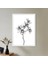 Gölgeli Bitki 2 Çerçeve ve Poster - B1101 3