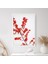 Ateş Dikeni 1 Çerçeve ve Poster - B1236 1