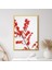 Ateş Dikeni 1 Çerçeve ve Poster - B1236 2