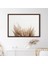 Pampas 3 Çerçeve ve Poster - B1220 4