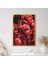 Bordo Güller 1 Çerçeve ve Poster - B1091 3