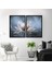 Lotus Ikili Çerçeve ve Poster Seti - B1016 1