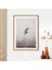 Pampas 5 Çerçeve ve Poster - B1186 4