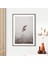 Pampas 5 Çerçeve ve Poster - B1186 5
