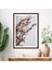 Kahverengi Otlar 6 Çerçeve ve Poster - B1219 1