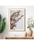 Kahverengi Otlar 6 Çerçeve ve Poster - B1219 2