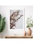 Kahverengi Otlar 6 Çerçeve ve Poster - B1219 3